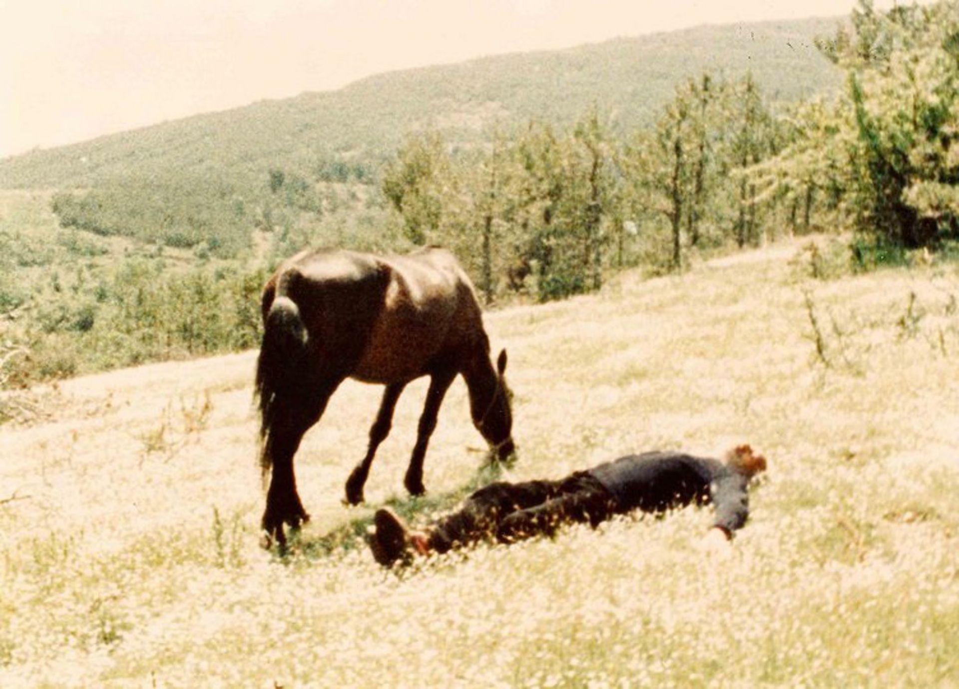 στιγμιότυπο από Μπαλαμό